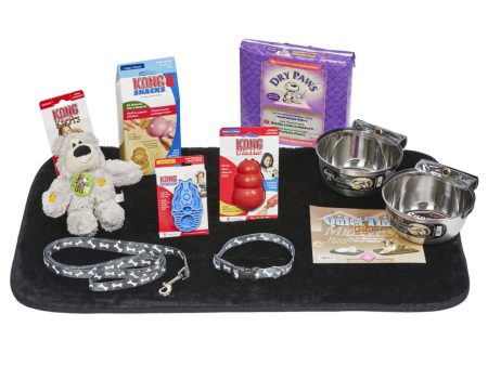 MidWest Medium Puppy Kit Dog Bowls, Dog Bed & Training Pads For Discount