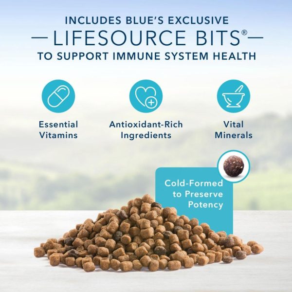 Blue Buffalo Indoor Health Natural Salmon & Brown Rice Adult Dry Cat Food Sale