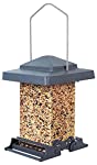 WoodLink® Audubon 75160 6 Lb Capacity Vista Squirrel Proof Bird Feeder Hot on Sale