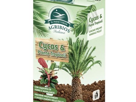 Concime per Cycas e Piante Tropicali, con Ferro e Manganese Hot on Sale