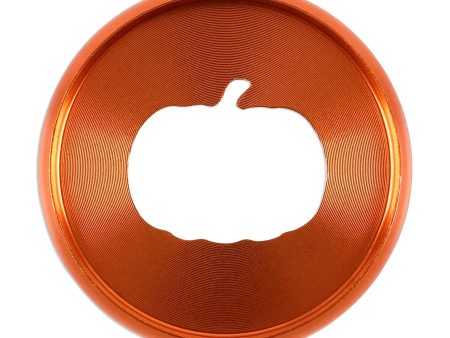 Happy Planner Pumpkin Cutout Medium Metal discs on Sale