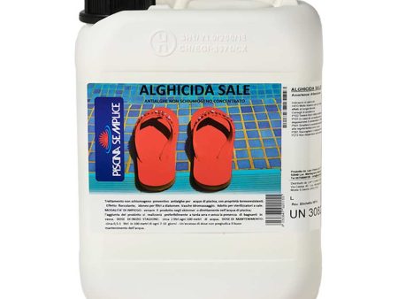 Alghicida liquido per sterilizzatori a sale senza rame - 5 lt Supply