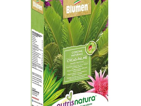 Concime granulare per cycas e piante tropicali - Biologico - a Lenta Cessione - 1kg For Discount