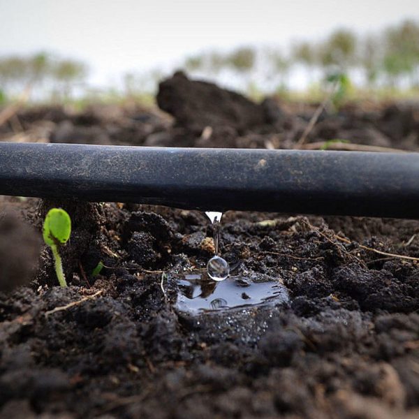 Ala gocciolante irrigazione da 16mm - tubo irrigazione forato - Passo 20 30 40 cm For Cheap