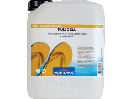 Pulitore liquido elettrodi e centraline a sale - PULICELL - 5 kg Fashion