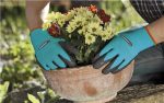 Set Giardino con Tanica, Trapiantatore, Forbici e Guanti For Cheap