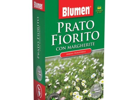 Semi di Prato Fiorito, con Fiori di Margherita, Formato da 500 Gr - per 35 40 mq For Cheap