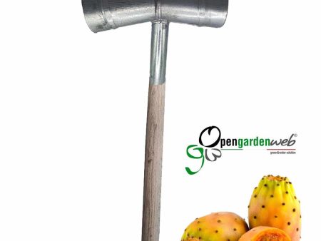 Raccogli frutta fichi d india Discount