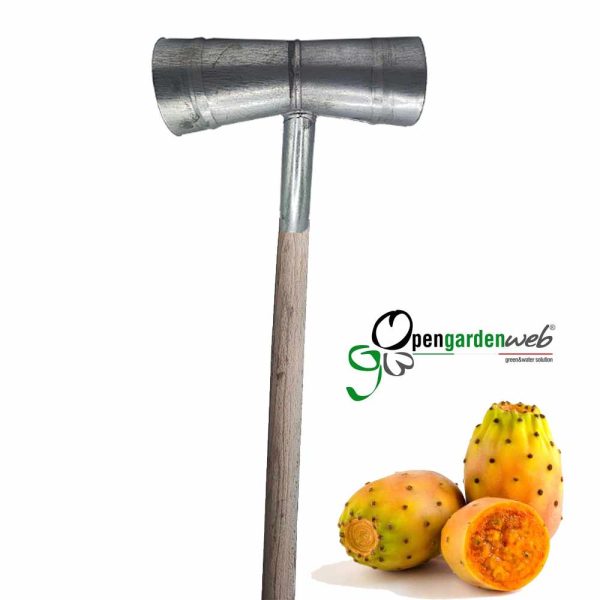 Raccogli frutta fichi d india Discount