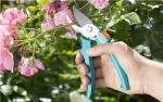 Set Giardino con Tanica, Trapiantatore, Forbici e Guanti For Cheap