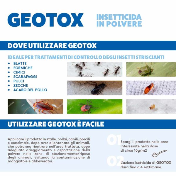 Insetticida in polvere microgranulare per insetti striscianti - GEOTOX da 1 Kg For Cheap