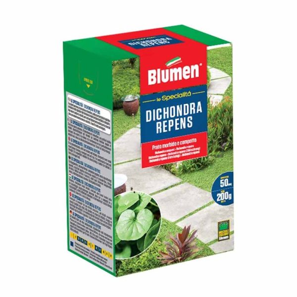 Semi di Erba per Prato Dichondra Repens, da 200 gr, fino a 50 mq - Blumen Fashion