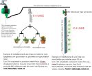 Set Irrigazione da giardino Fai da Te - Regolabile - per Orto Vasi Balcone Piante Supply