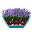 Vaso ovale bianco per fiori e orchidee - Calipso - cm 35 - 3,8 litri For Discount