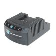 Carica Batteria rapido BLUE BIRD per R3S 40 V Online now