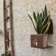 Portavaso da muro per orchidee e piante - Corten Online Sale