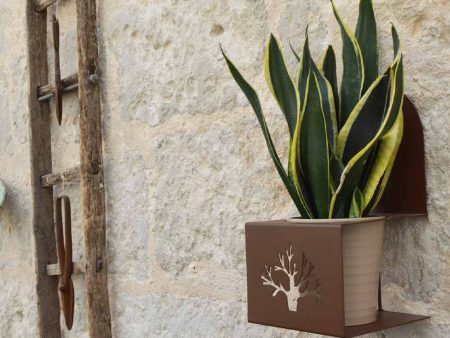 Portavaso da muro per orchidee e piante - Corten Online Sale