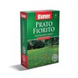 Semi di Prato Fiorito Giapponese Nano - 500 Gr Online