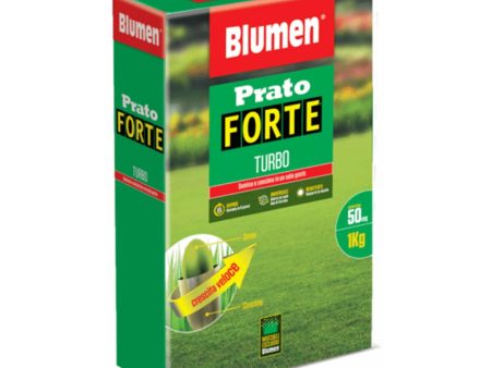 Semi di erba per prato - Forte Turbo - 1 kg fino a 50mq - Seme + Concime NPK  2 in 1 Online Hot Sale