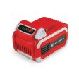 Batteria al Litio Bluebird 40V 4 Ah per R3S attrezzi a batteria For Discount