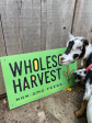 Wholesome Harvest Non-GMO Soy Free Goat 16% For growing and mature goats For Discount